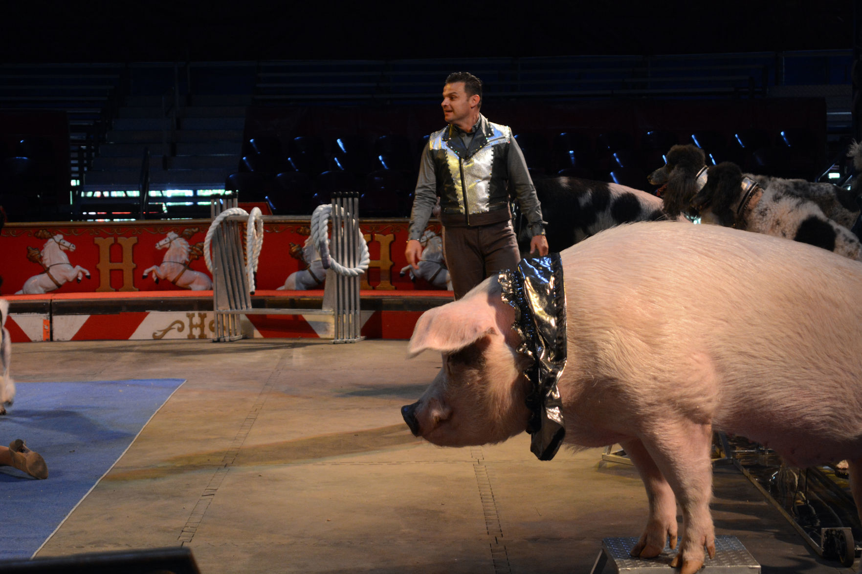 051918-bara-news-circus4